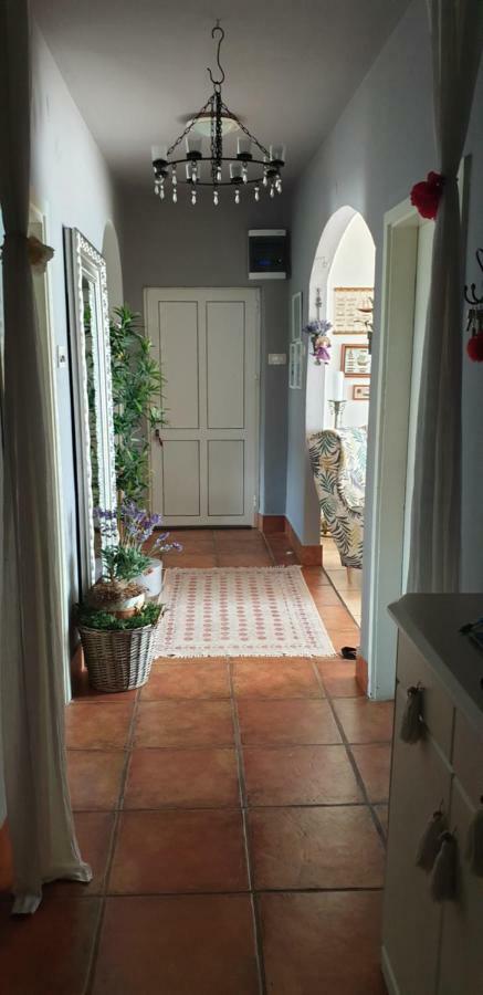 Apartman Felice Starigrad Paklenica Εξωτερικό φωτογραφία